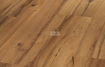 Ламинат Parador Basic Plus 400 1593814 Дуб History фото 1 | FLOORDEALER